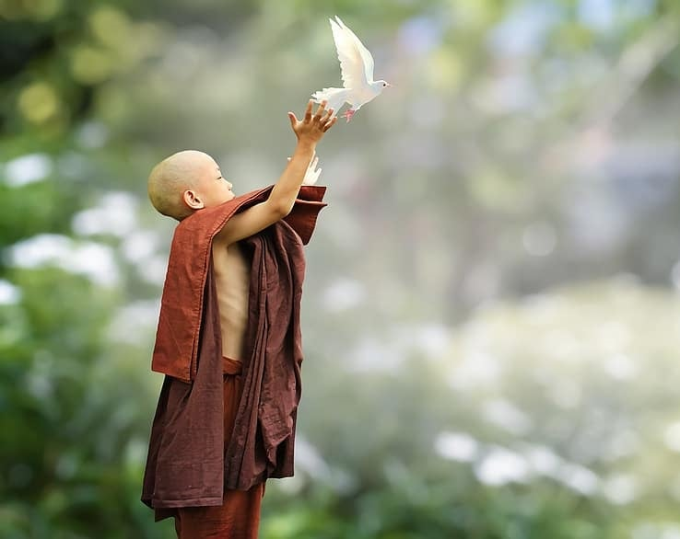 Rải tâm từ mỗi ngày để được an vui